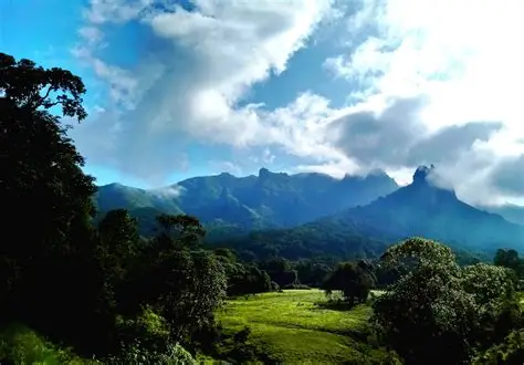 Bale Mountains National Park