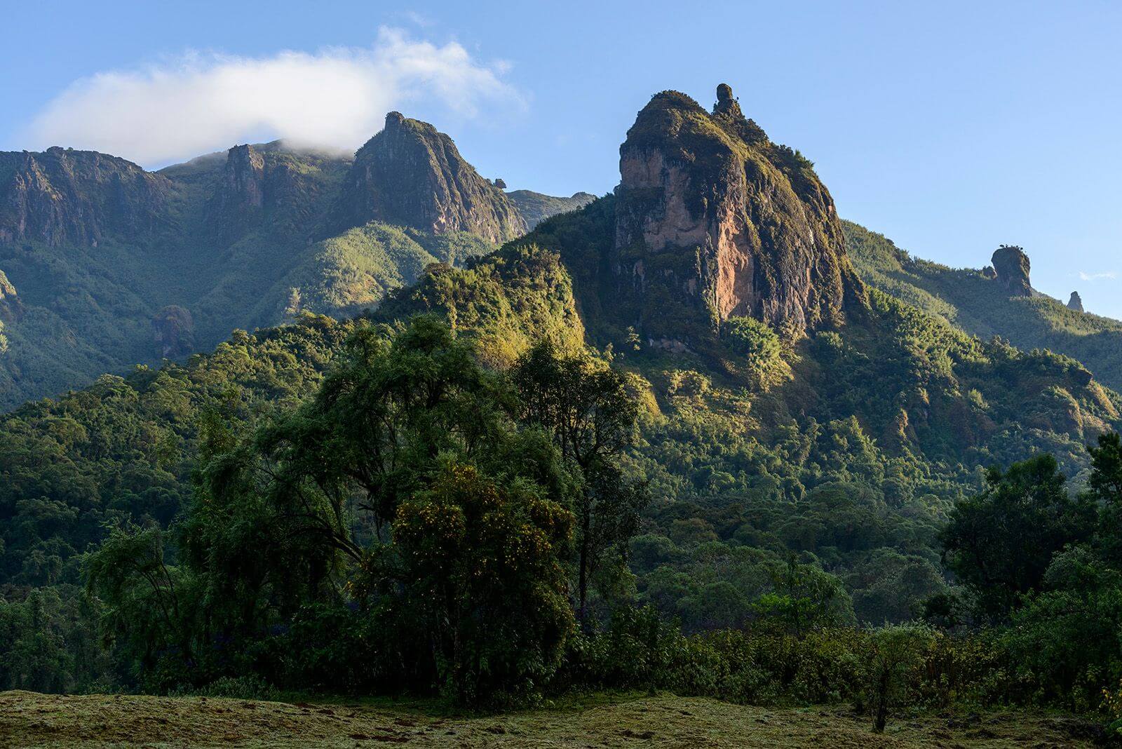 Bale Mountains National Park - View 6