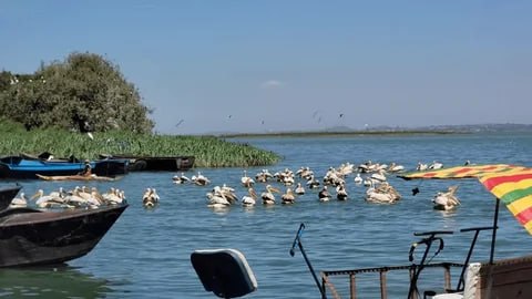 Lake Tana 