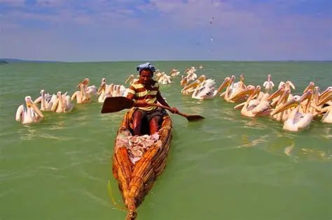 Lake Tana  - View 3