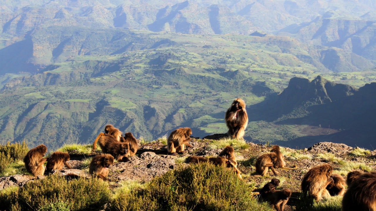 Simien Mountains National Park - View 4
