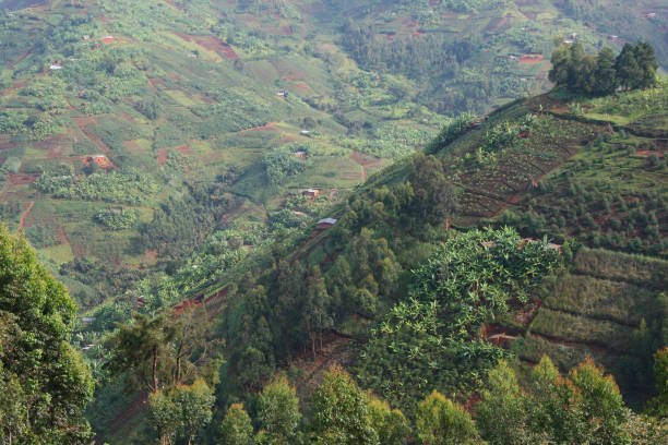 Konso cultural land scape - View 2