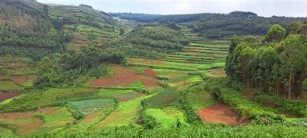 Konso cultural land scape - View 4
