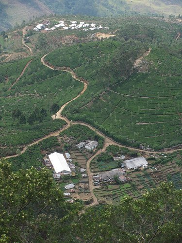 Konso cultural land scape - View 5