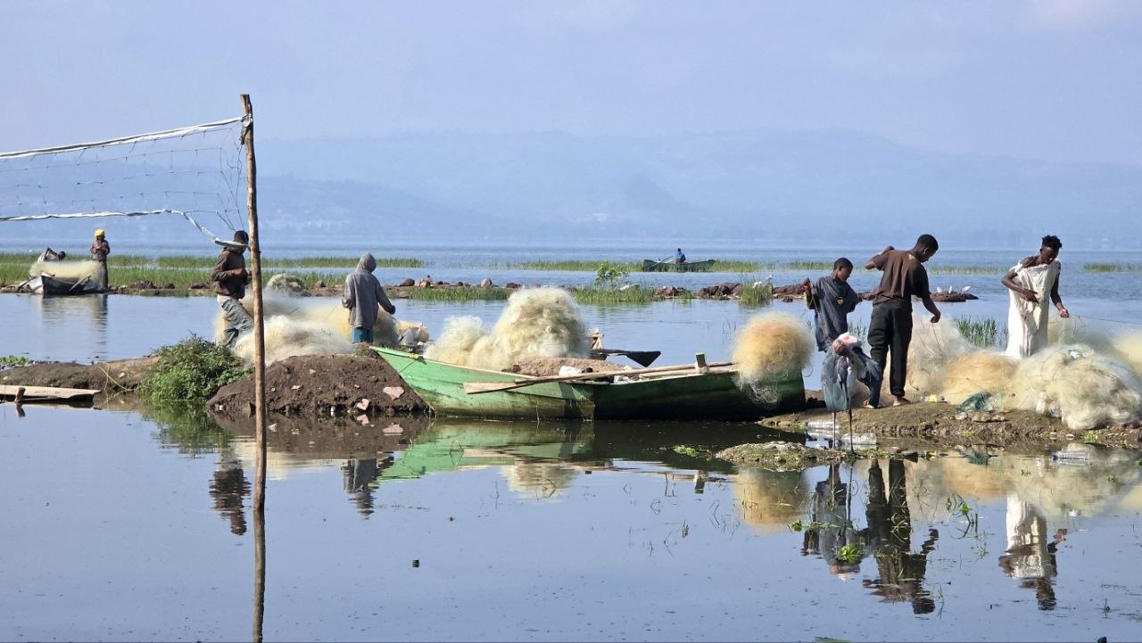 Lake Hawassa - View 4