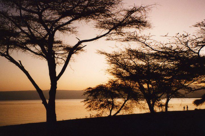 Lake langano - View 4