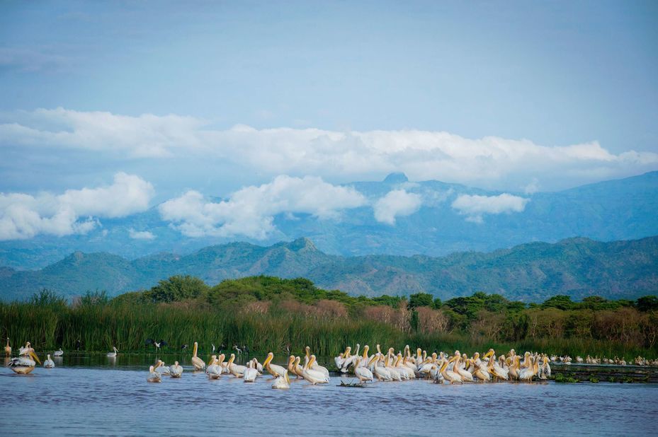 Lake langano - View 6