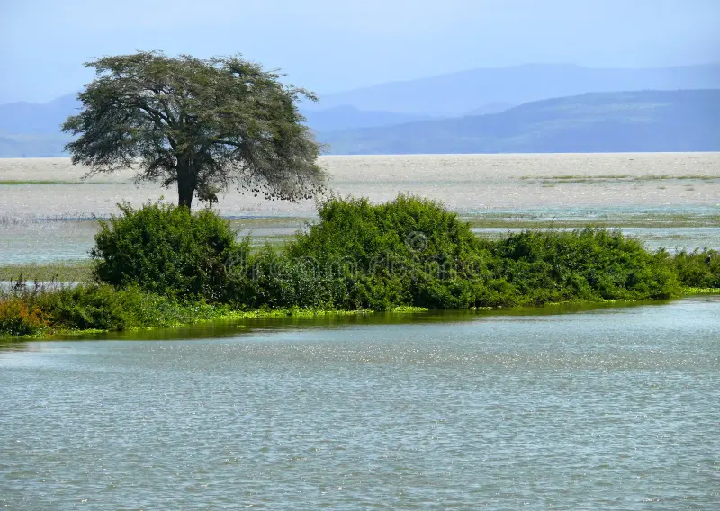 Lake Abaya - View 6