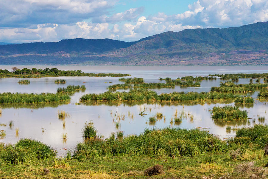 Lake Chamo