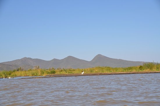 Lake Chamo - View 4