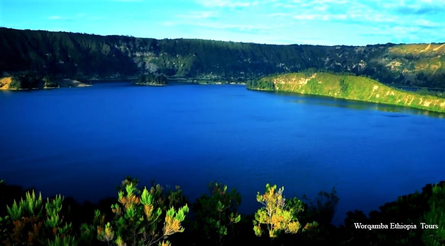 Wonchi Forest - View 5