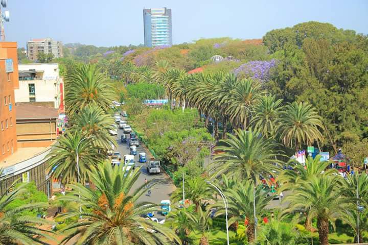 Bahir Dar city
