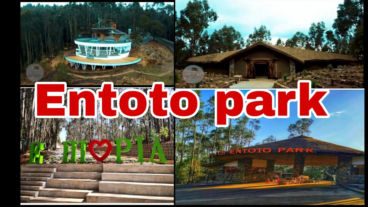 Entoto National Park