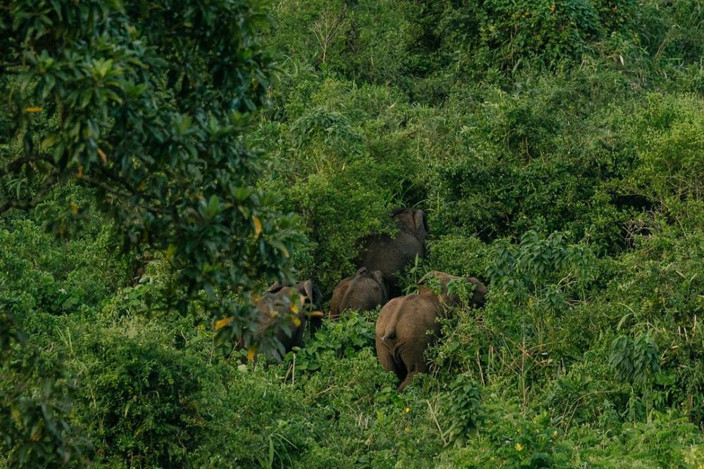 Chiera Churcher National Park - View 4