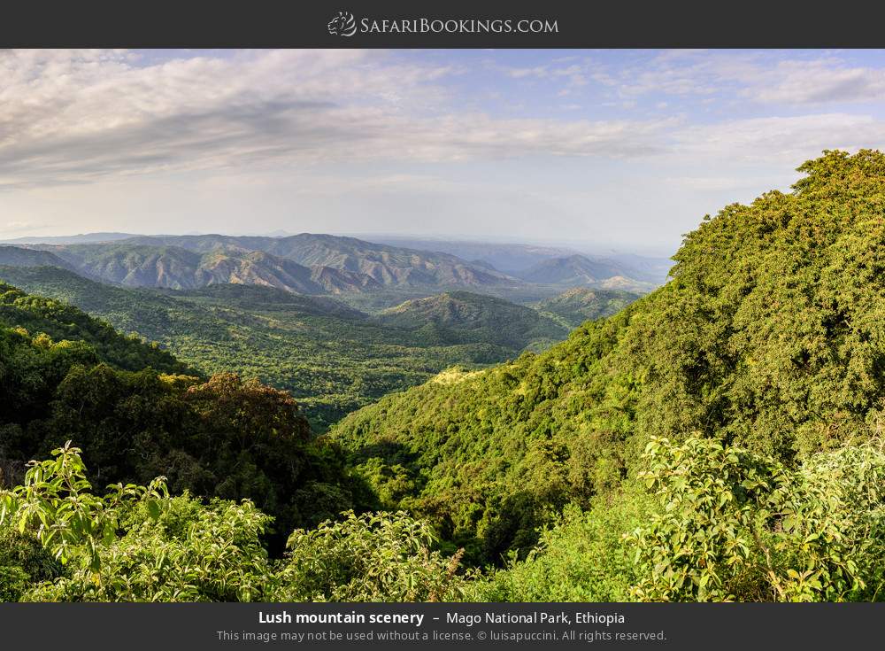 Mago National Park - View 2