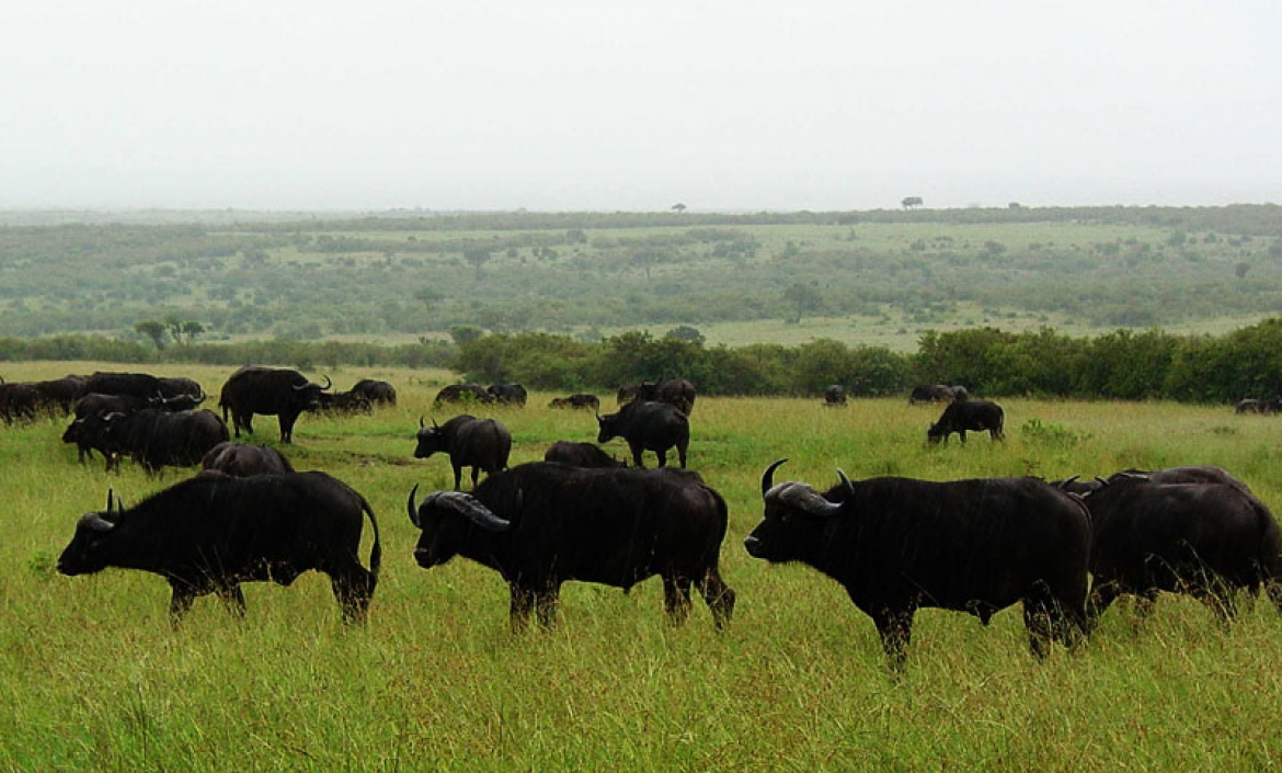 Mago National Park - View 5