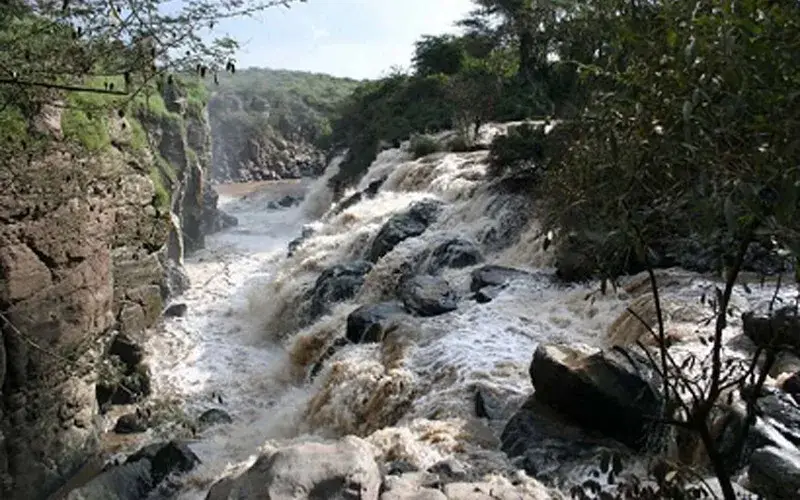 Awash - View 6