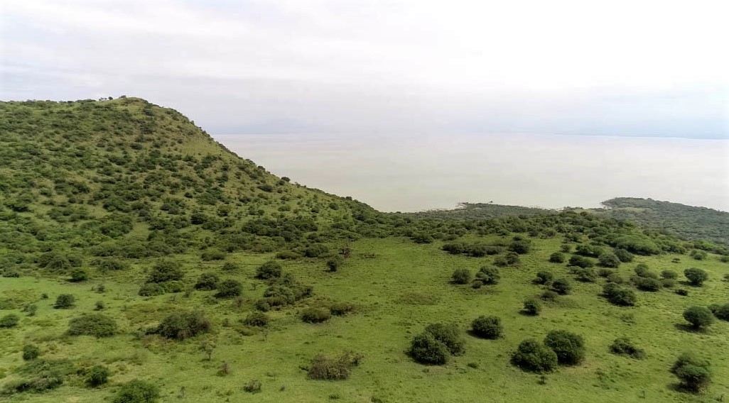 Nech Sar national park - View 6