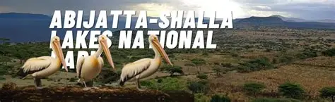 Abijatta-Shalla-National