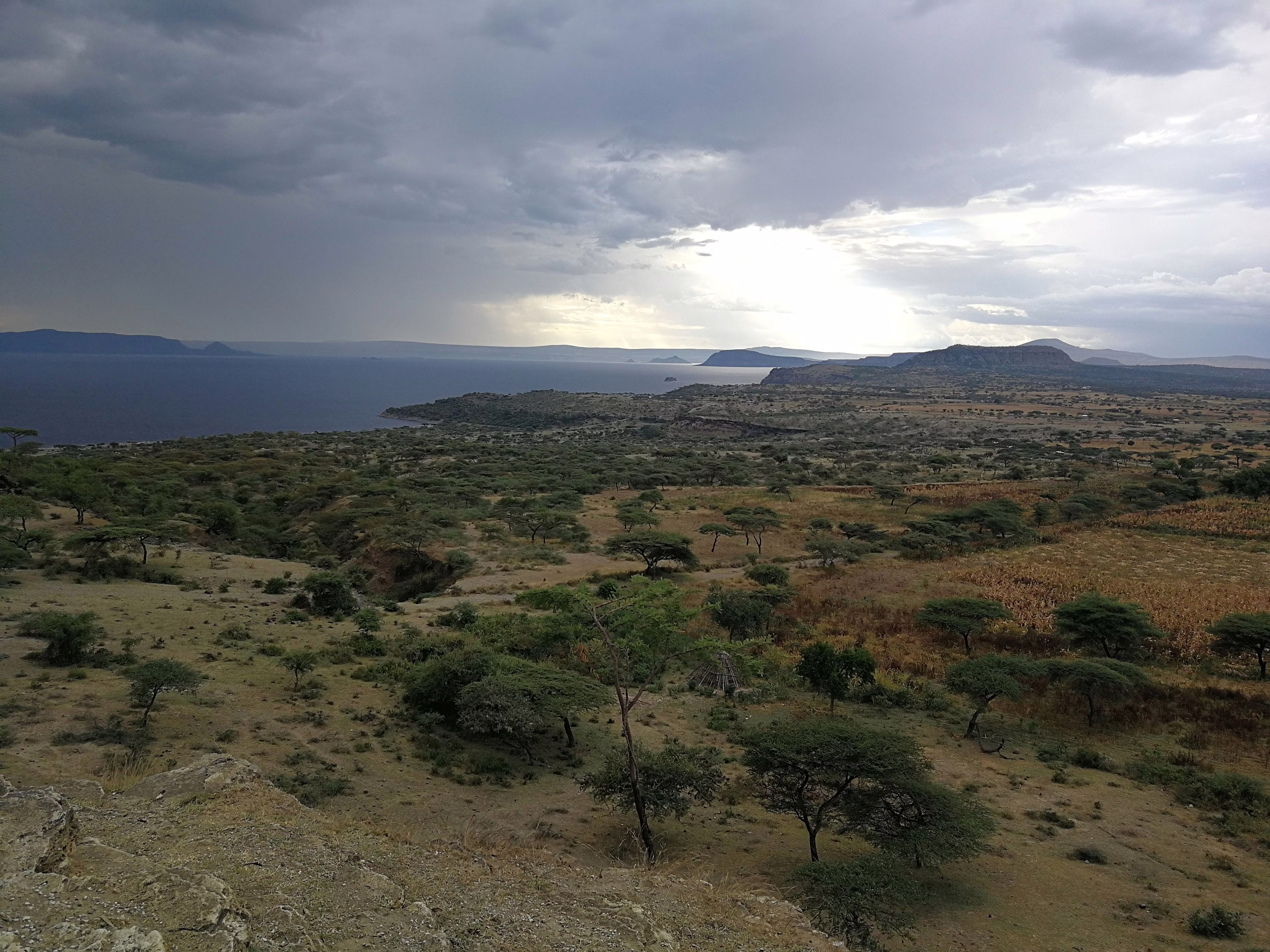 Abijatta-Shalla-National - View 5