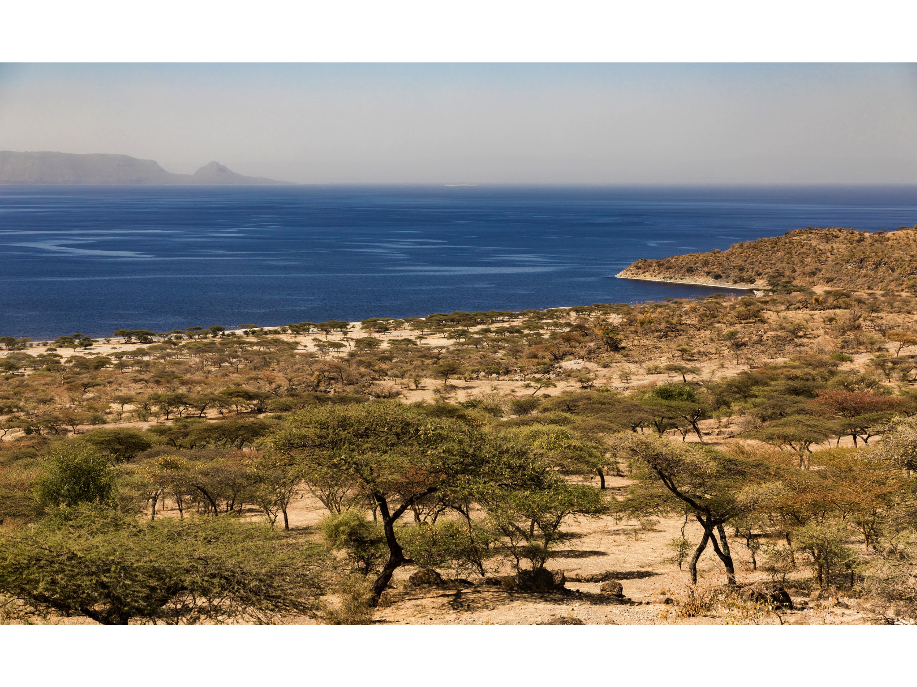 Abijatta-Shalla-National - View 6